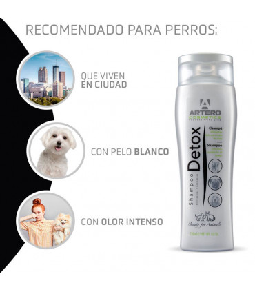 ARTERO CHAMPU DETOX 250ml