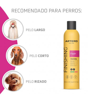 ARTERO FLASH 300ML