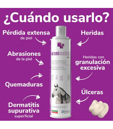 OMNIMATRIX Espuma Cicatrizante 250ml
