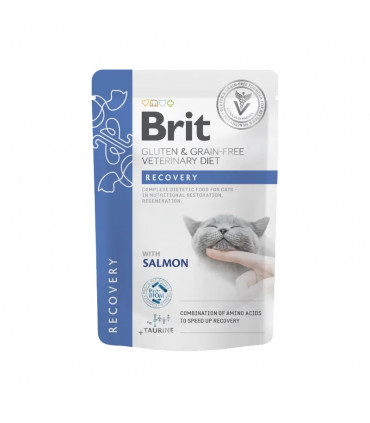 Envelopes molhados para recuperação de gatos 12x85g | Brit veterinário dieta úmida