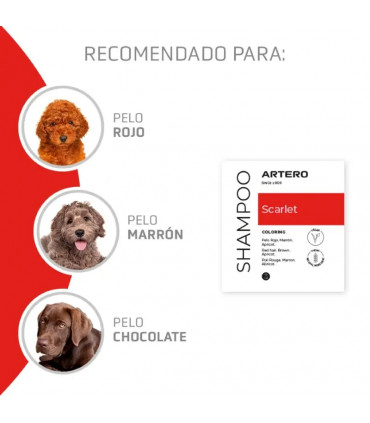 ARTERO CHAMPU SCARLET ROJO 300ML - Potenciador Color Rojo