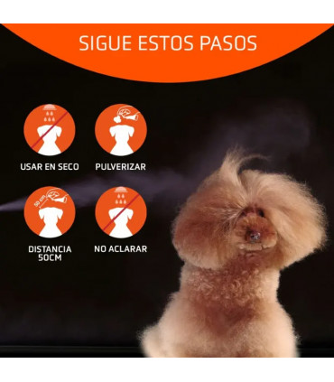 ARTERO Velocidade Seco Shampoo 300ml | Animais de estimação provid